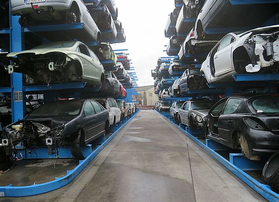 Autoeco
